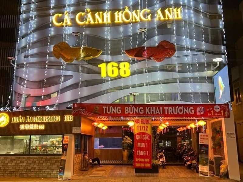 Cá Cảnh Hồng Anh 