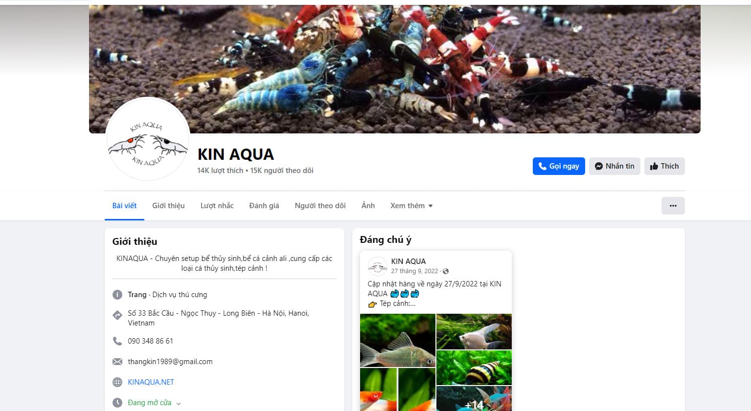 KIN AQUA - Cửa hàng cá cảnh Hà Nội uy tín nhất