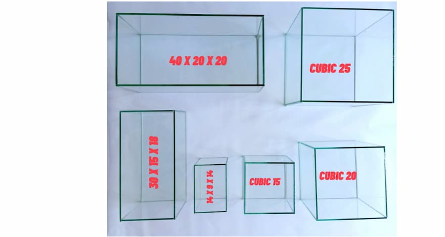 Chọn kích thước bể cá cảnh thủy sinh phù hợp