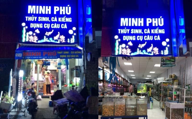 Minh Phú - Shop cá cảnh TPHCM uy tín