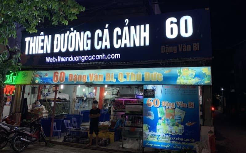 Thiên Đường Cá Cảnh - Shop cá cảnh TPHCM chuyên nghiệp, tận tâm