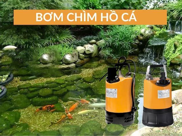 Tổng hợp 5 loại máy bơm bể cá cảnh tốt nhất hiện nay